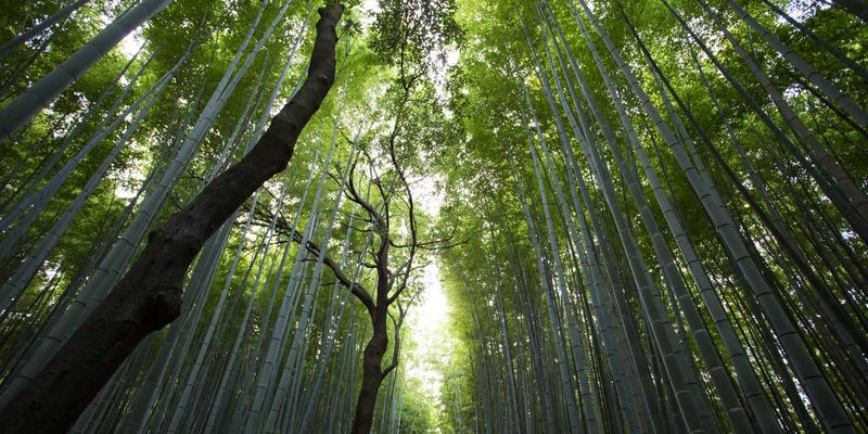 网站建设
